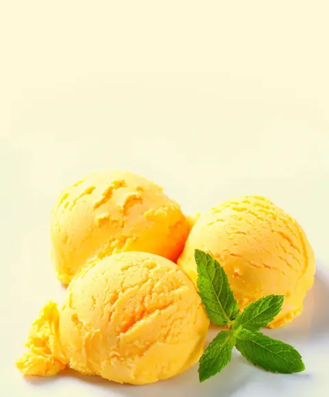 Artisan Sorbet at The Gold Medal Creamery